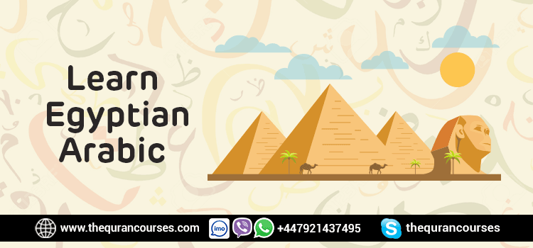 learn egyptian arabic