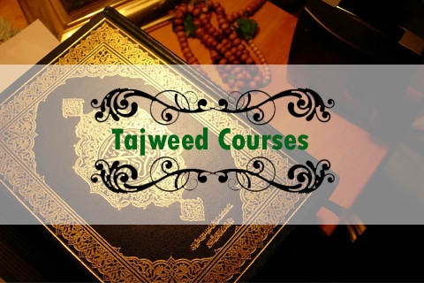 learn quran with tajweed