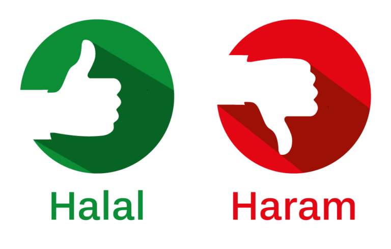 What Does It Mean By Halal Chicken