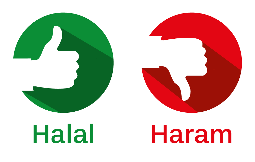What does halal mean?