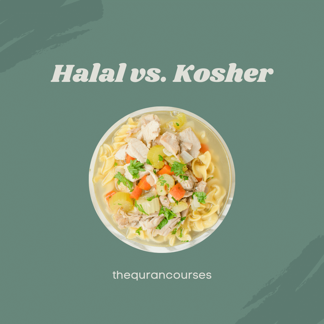 Halal Vs. Kosher: 11 Info What No One Tells You Might Shock You