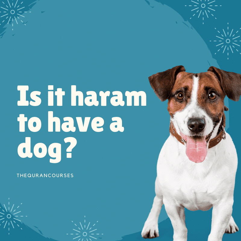 Is it haram to have a dog