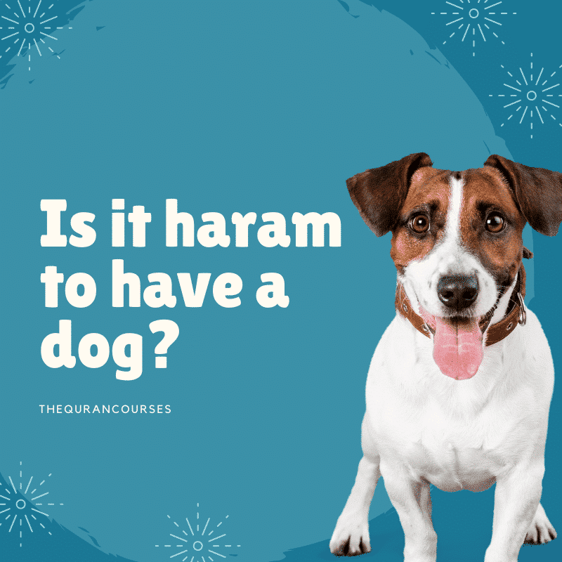 are dogs haram to keep as pets